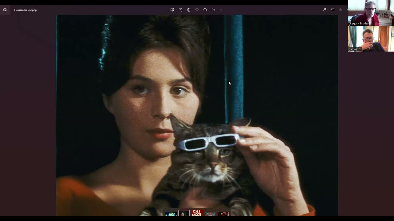 Кот фильм 1971