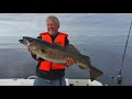 Leka 2018  zeevissen in midden noorwegen