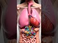 #shortvideo #animation #bodybuilding #body #funny #athletes #pregnant #bodybuilders #video #baby