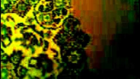 الياس الورياشي سورة المؤمنون ilias Elouariachi