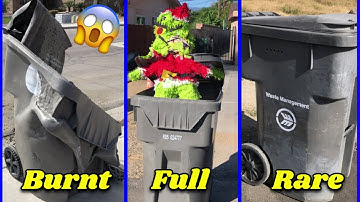 Broken Bins and Full Trash Cans around my City!