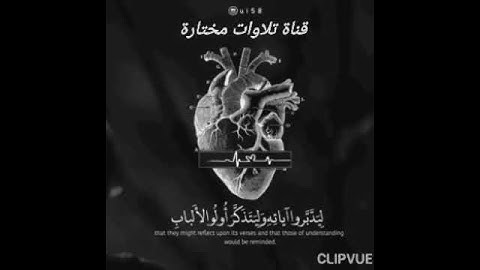 اسلام صبحي حالات واتساب من سورة ص(كتاب انزلناه اليك مبارك ليدبروا آياته..)🙏🔔♥️