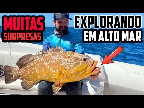 PESCARIA no MAR deu BOM - SLOW PITCH JIGGING / TAI RUBBER / PARGUEIRA