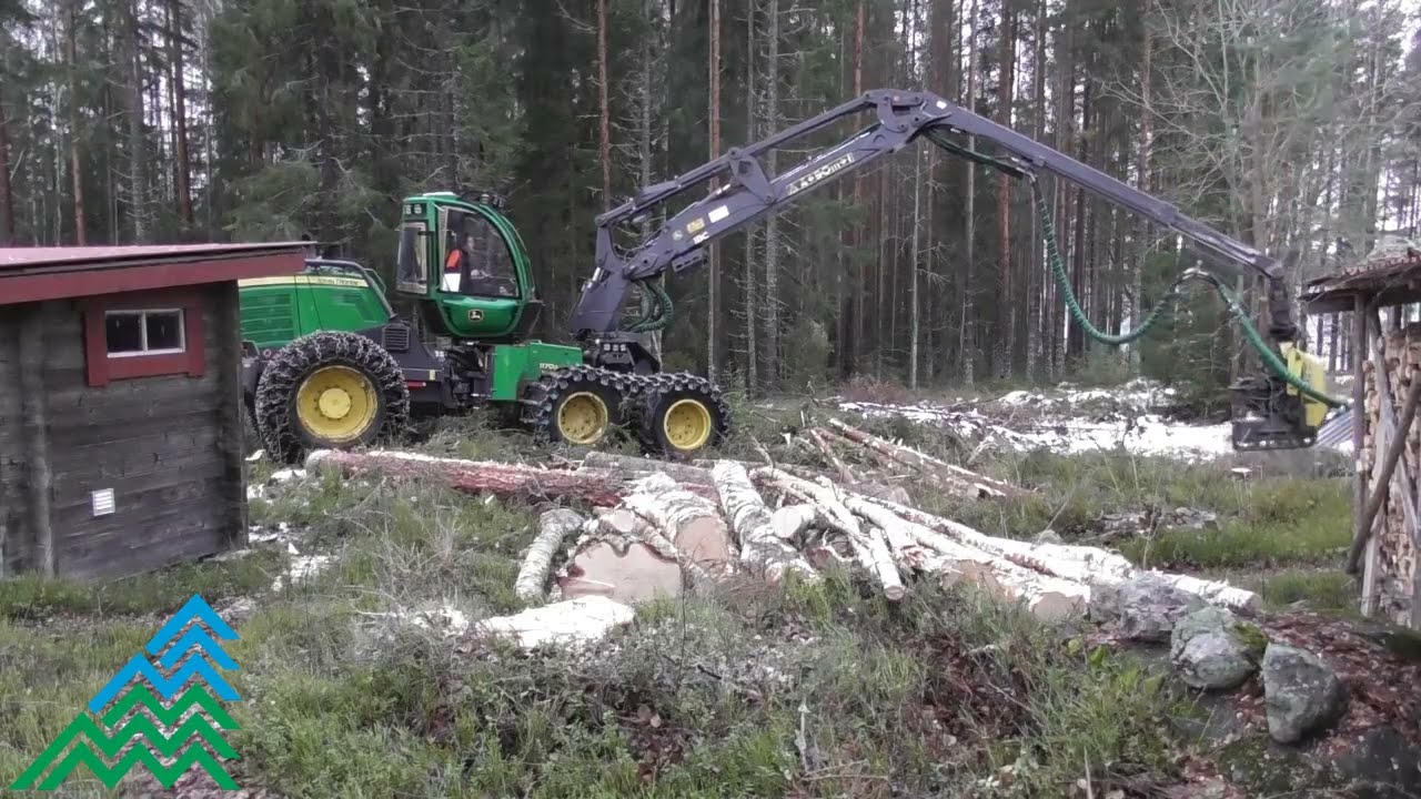 Avverkning vid sommarstuga med John Deere 1170-G