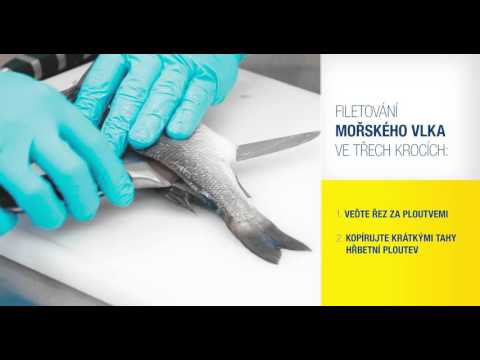 Video: Ako Variť Filety Z Morského Vlka