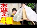 生き物即売会で念願の虫を購入しました