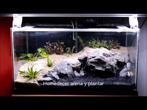 Video: Cómo Hacer Una Terraza En Un Acuario