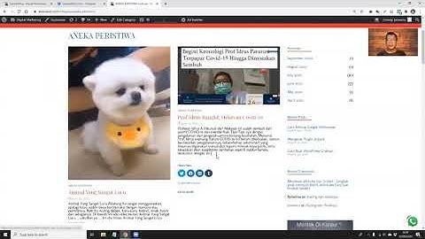 cara backup website dengan updraftplus