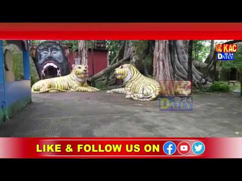 ধুবুৰী জিলাৰ বিলাসীপাৰাৰ মহামায়া মন্দিৰ চৌহদত থকা কপিকুলে ভুগিছে তীব্ৰ খাদ্য সংকটত- Kacdaily24