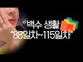 백수 브이로그 │ 백수 88일차~115일차 모음.zip