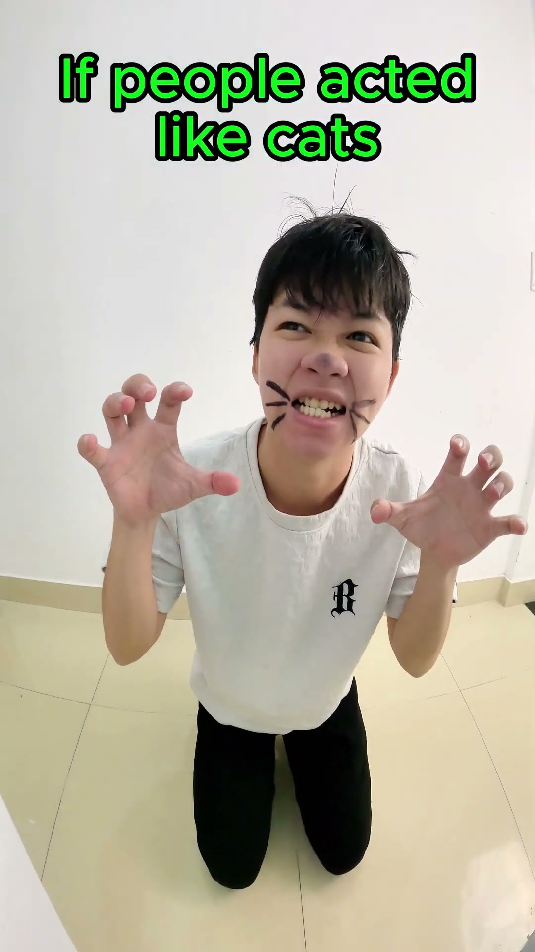ACC - Trung Bình Các Con Mèo Trên Thế Giới || Average Cats in the World. #funny #troll
