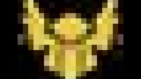 Paragon Support Guide