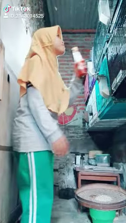 TMCI