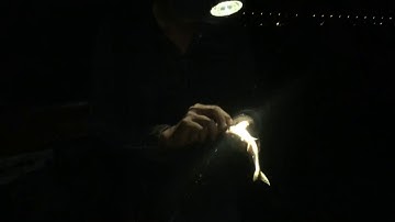 Fishing On The River Can Tho (Câu Cá Đêm Khuya Trên Sông Cần Thơ