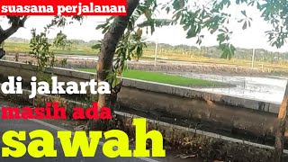 SUASANA PERJALANAN || DIJAKARTA TERNYATA MASIH ADA SAWAH