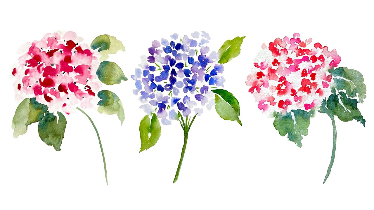 How to Paint Watercolor Hydrangea YouTube