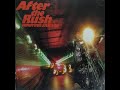 Hiroyuki Sanada – After The Rush – Vinyl (LP, Album, Stereo), 1984