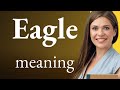 Understanding the Phrases "Eagle Eye"