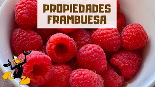 10 Propiedades De Las Frambuesas Beneficios