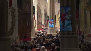 K-array St. Patrick's Cathedral Dec 15, 2022 1