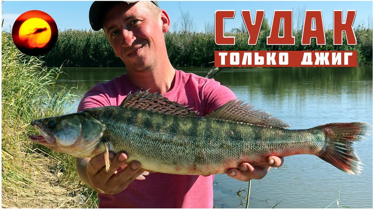Ловля судака / Джиг рыбалка с берега / Приманки и проводки на судака / Рыбалка осенью в дельте Волги