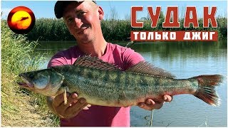 Ловля судака / Джиг рыбалка с берега / Приманки и проводки на судака / Рыбалка осенью в дельте Волги