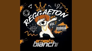 Reggaeton Mix, Vol.7