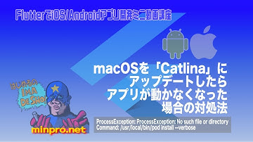 [Flutter]ProcessException: ProcessException: No such file or directory（macOSをCatalinaにアップしたらアプリ動かない）