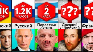 Простейшие В Изучении Языки