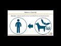 Rabies in the US Facts, not Fear. World Rabies Day 2021 Webinar