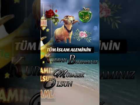 🌹⛓️🌹🌿🌸¨¨˜”°º★🌿🌸﷽ 🌸🌹🤲ﷲAMÎÎÎÎÎN YA RABBEL🌹 ALEMÎNﷲ🤲🌿