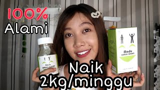 CARA MENAMBAH BERAT BADAN SECARA ALAMI REVIEW MADU PENGGEMUK BADAN 