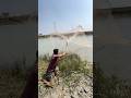 Extreme Cast Net Fishing in River#fishing #castnet #uniquefishing #riverfishing #bigfish