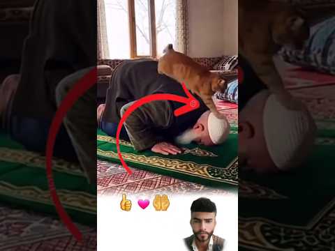 سجدت الجباه لرب رحيم فصارت القلوب مآوي لكل ضعيف هكذا يفيض السلام من محراب الصلاة ترند لايك