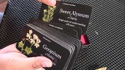 The Language of Flowers Deck Review