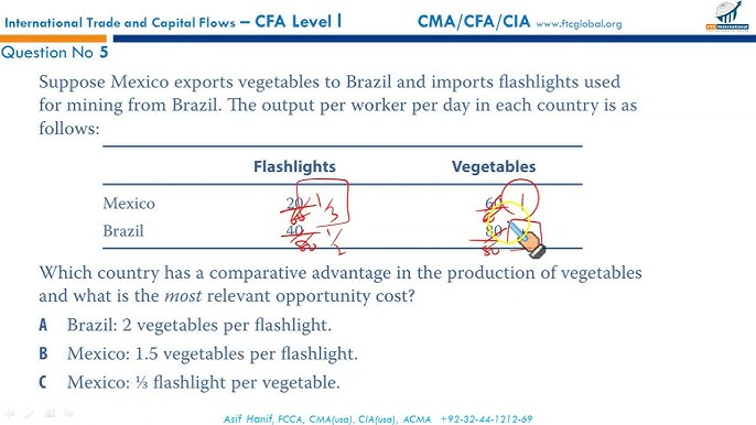 The Balance of Payments and Capital Flows 