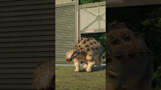 Euoplocephalus Release Animation