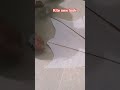 kite making new look#viralvideo#viralshorts#kite#kitemakingvideos