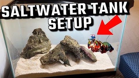 SETTING UP a MANTIS SHRIMP TANK!!