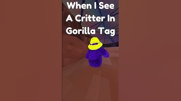 When I See A Critter In Gorilla Tag #gorillatag #funny #critters