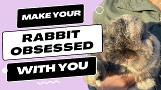 Make Your Rabbit OBSESSED With You In 7 Easy Steps