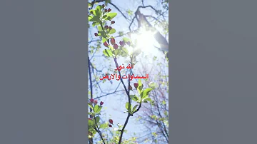 عبد الباسط عبد الصمد الله نور السماوات والارض 