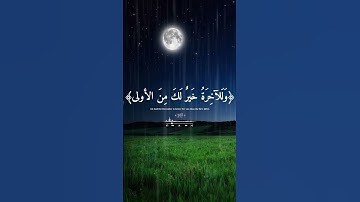سورة الضحى 😍🙏🏻 #قرآن#قران_كريم#سورة#تقرب_لله