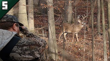 Up Close Rut Action! | Chasing Shooter Bucks | Deer Season 2024