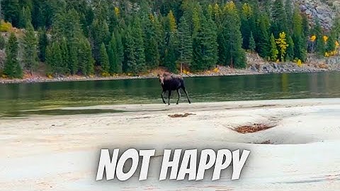 This Almost Went VERY Wrong… (Fly Fishing Idaho)