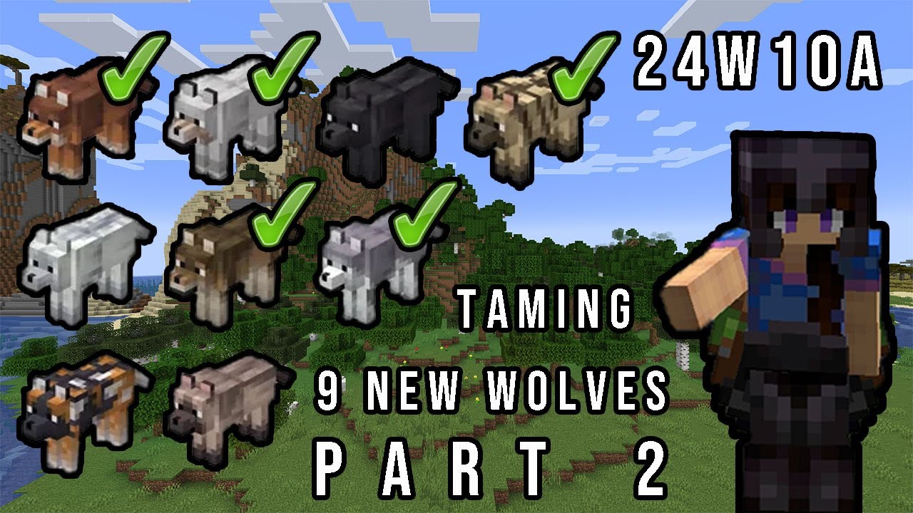 Can I Tame All 9 New Minecraft Wolves? (part 2) | Snapshot 24w10a ...
