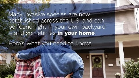 Invasive Species News Video