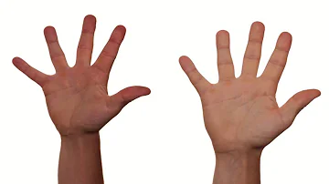 ¿Qué significan los dedos largos en una mujer?