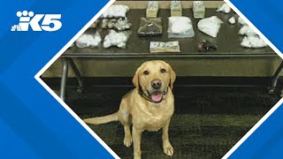 Famous Western Washington drug bust tied to Mexico-based cartel, investigators say Profile