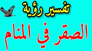 تفسير رؤية الصقر في المنام|لابن سيرين